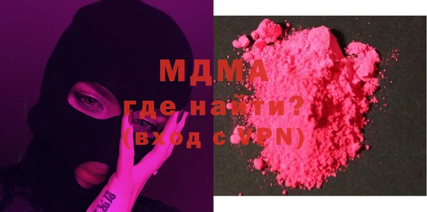 гашик Алексин