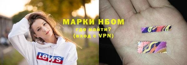 стафф Алзамай