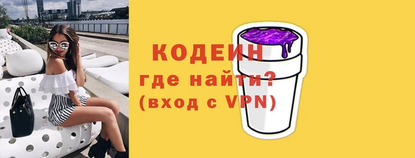 гашик Алексин