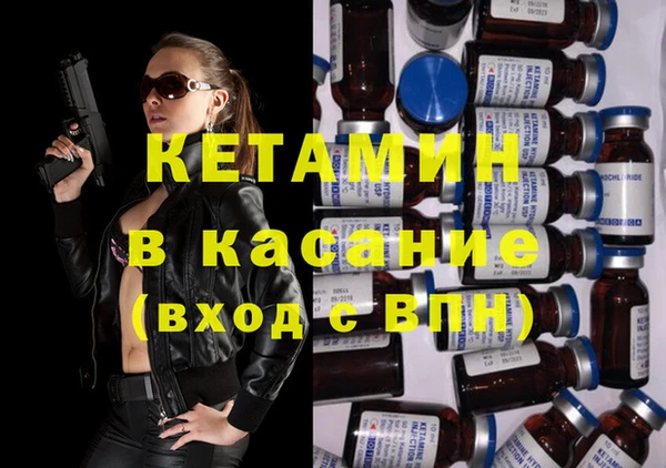 гашик Алексин