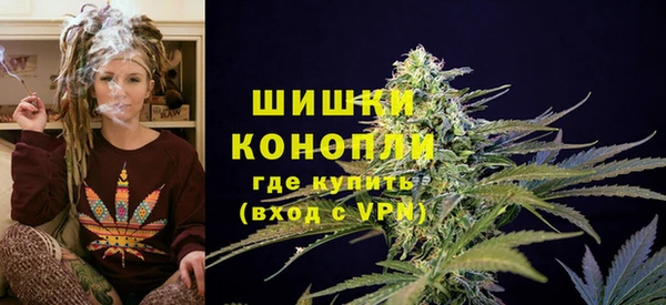 гашик Алексин