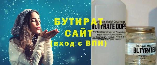 гашик Алексин