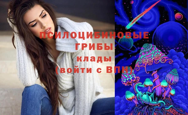 гашик Алексин